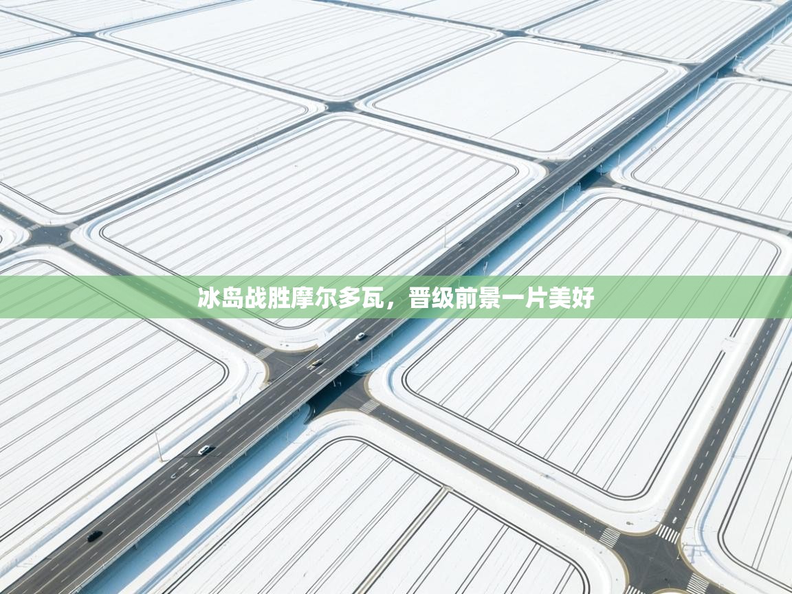 冰岛战胜摩尔多瓦,晋级前景一片美好 第2张