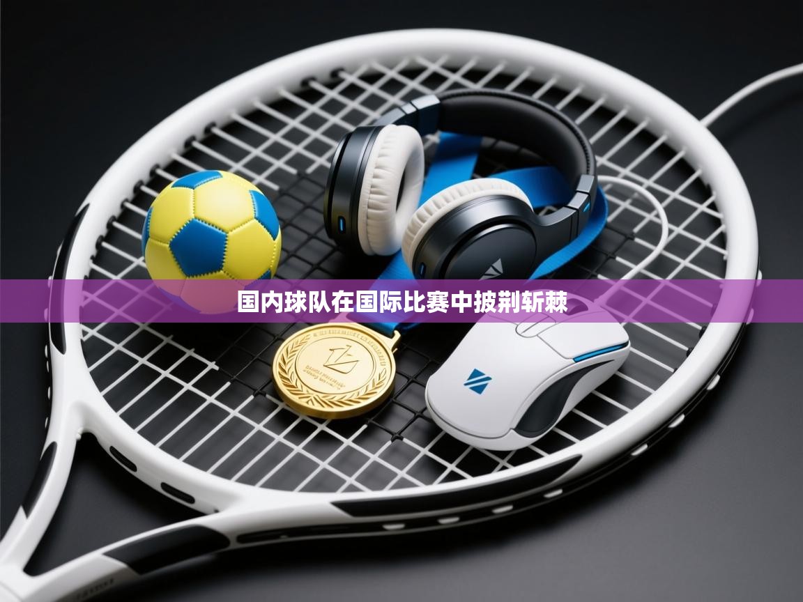 国内球队在国际比赛中披荆斩棘  第2张