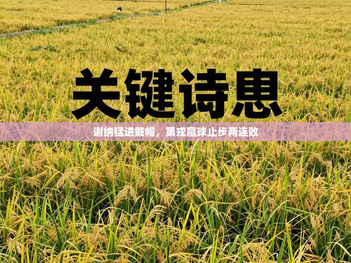 谢纳猛进戴帽，第戎赢球止步两连败  第1张